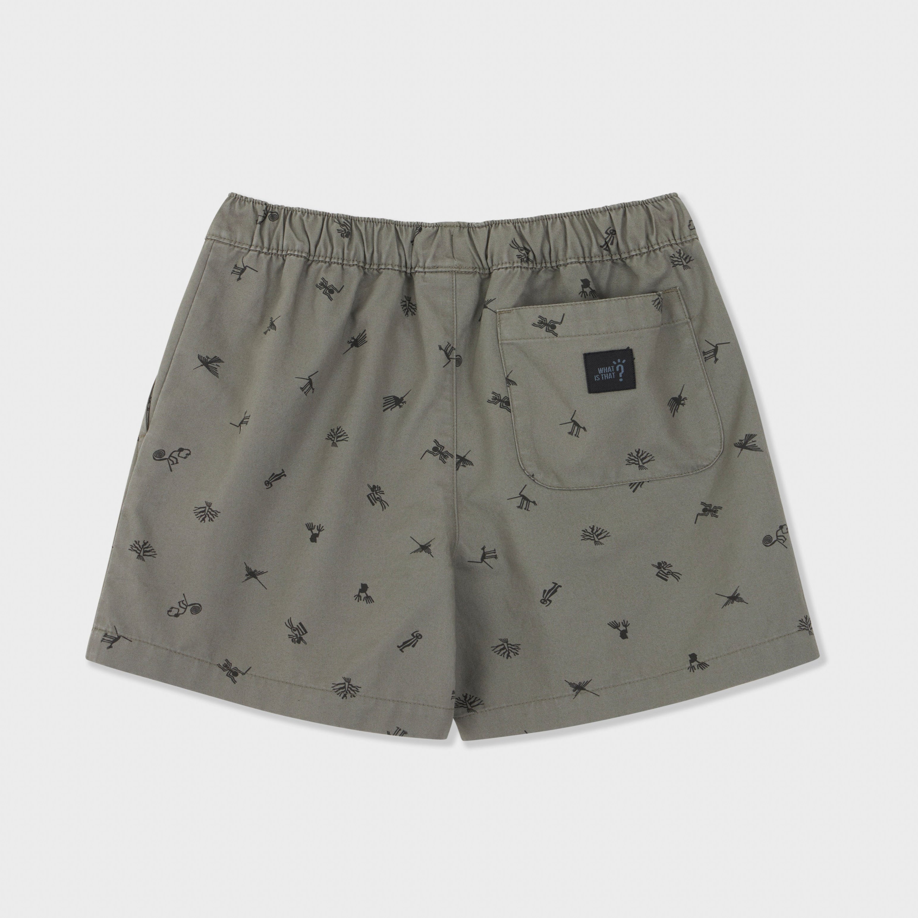 Nasca Printed Woven Shorts