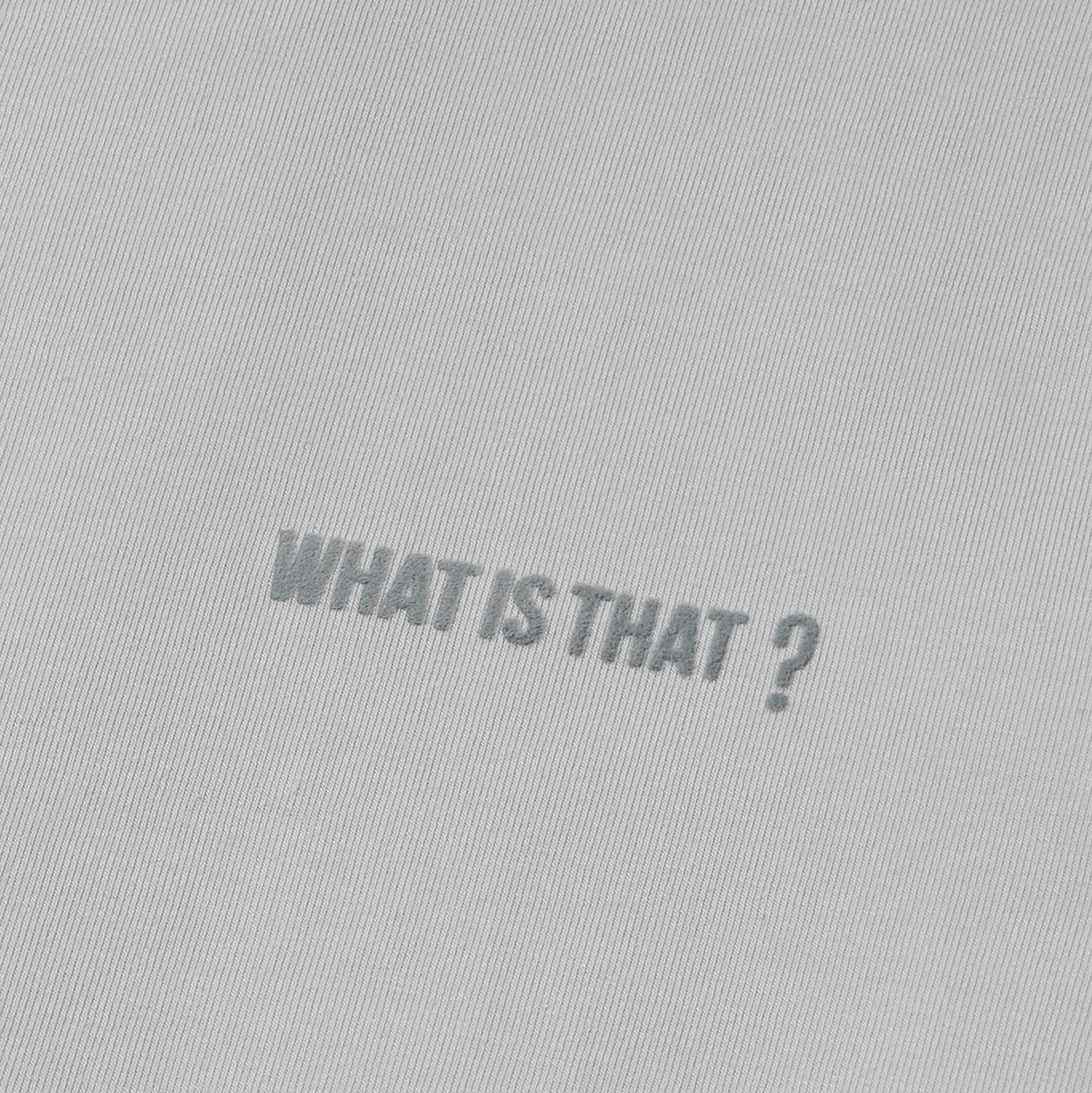 Multilingual "What is That?" Tee