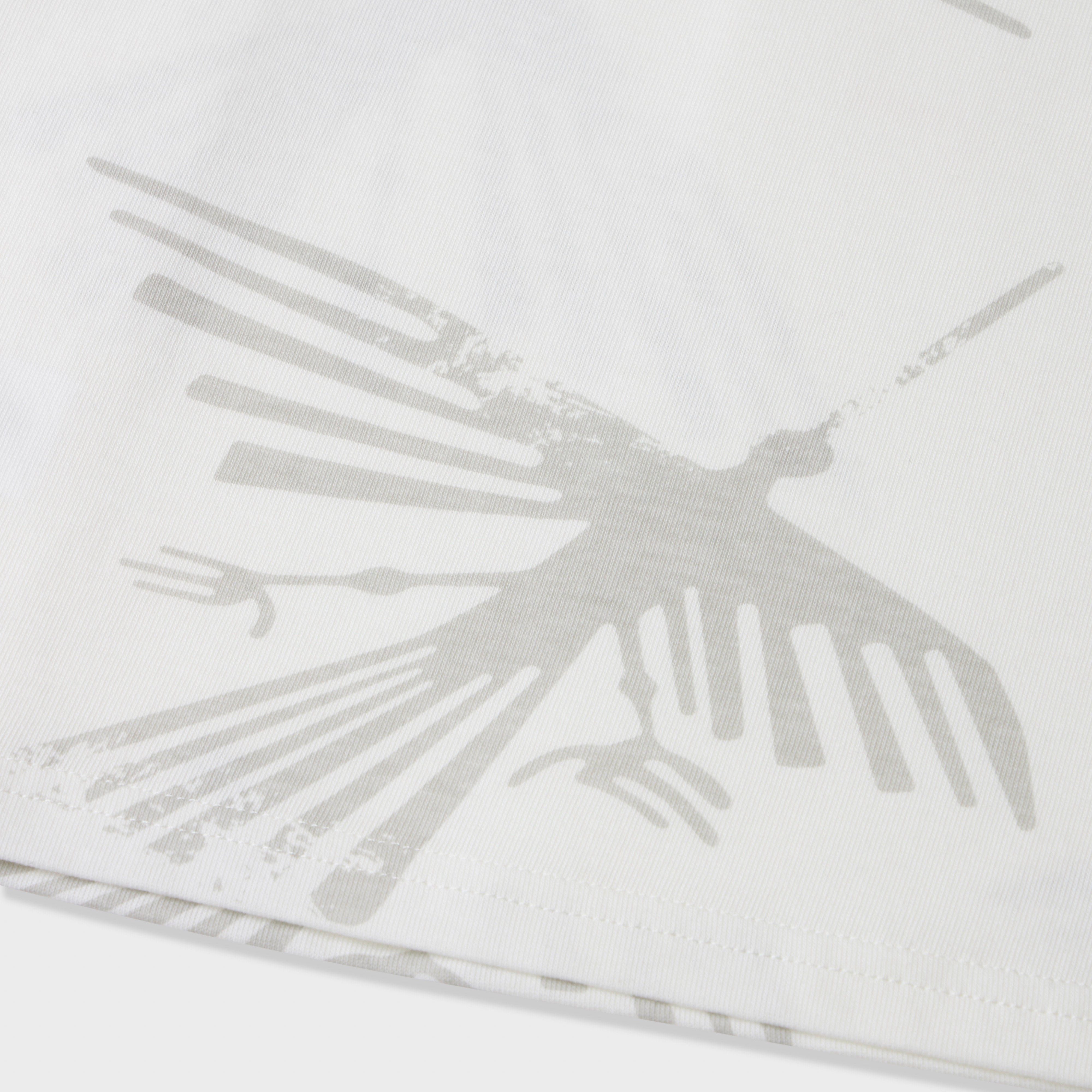 Nasca Condor Graphic Tee