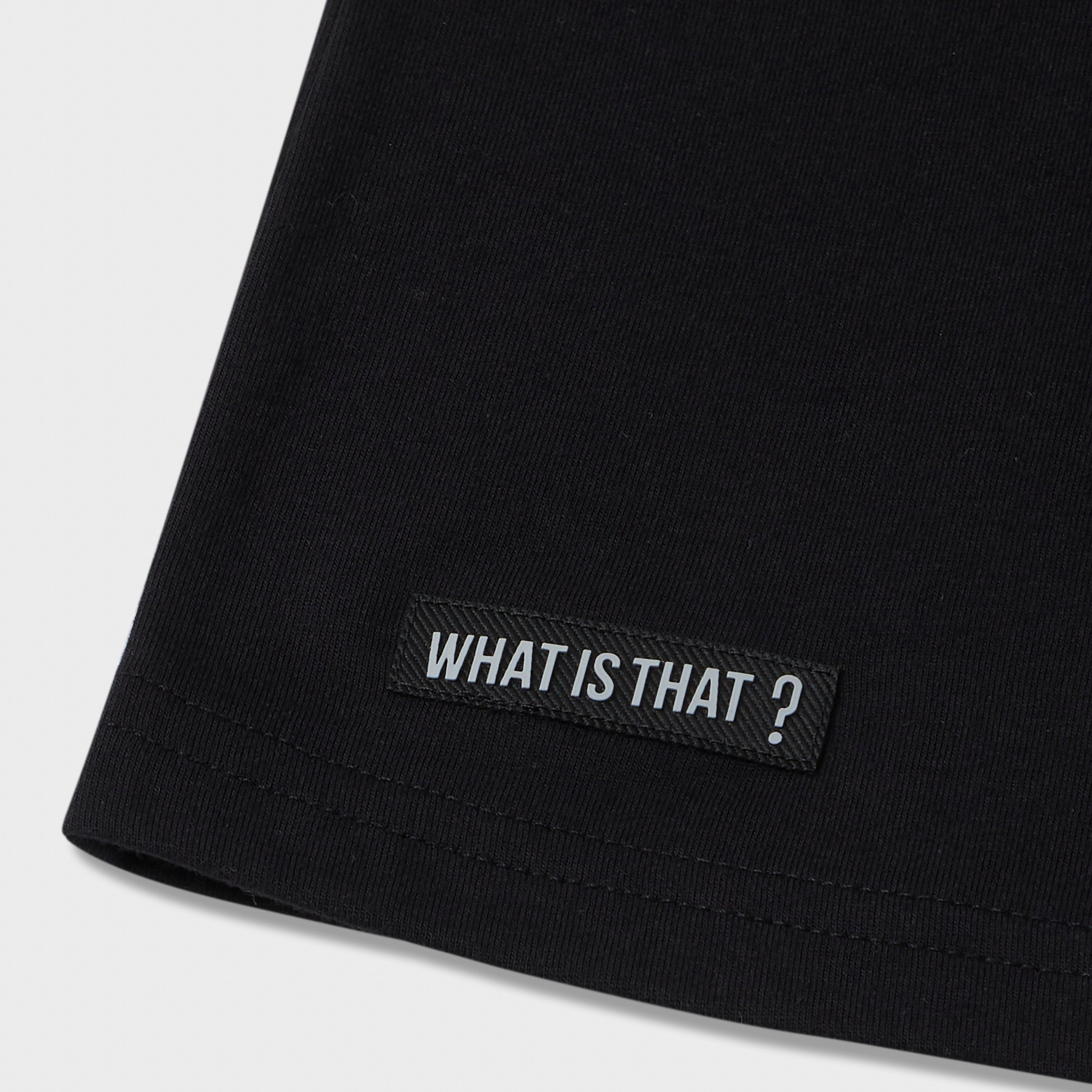 Prismatic Graphic Tee