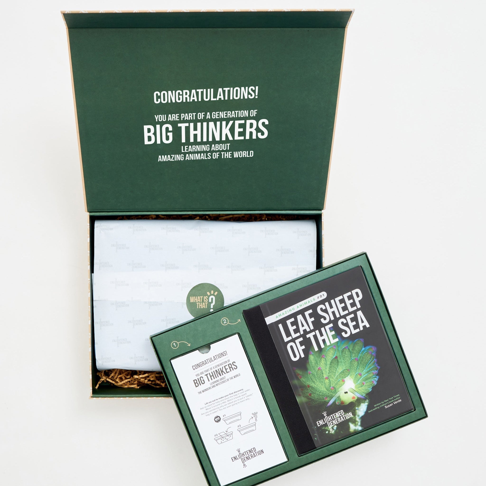 Leaf Sheep Mystery Box