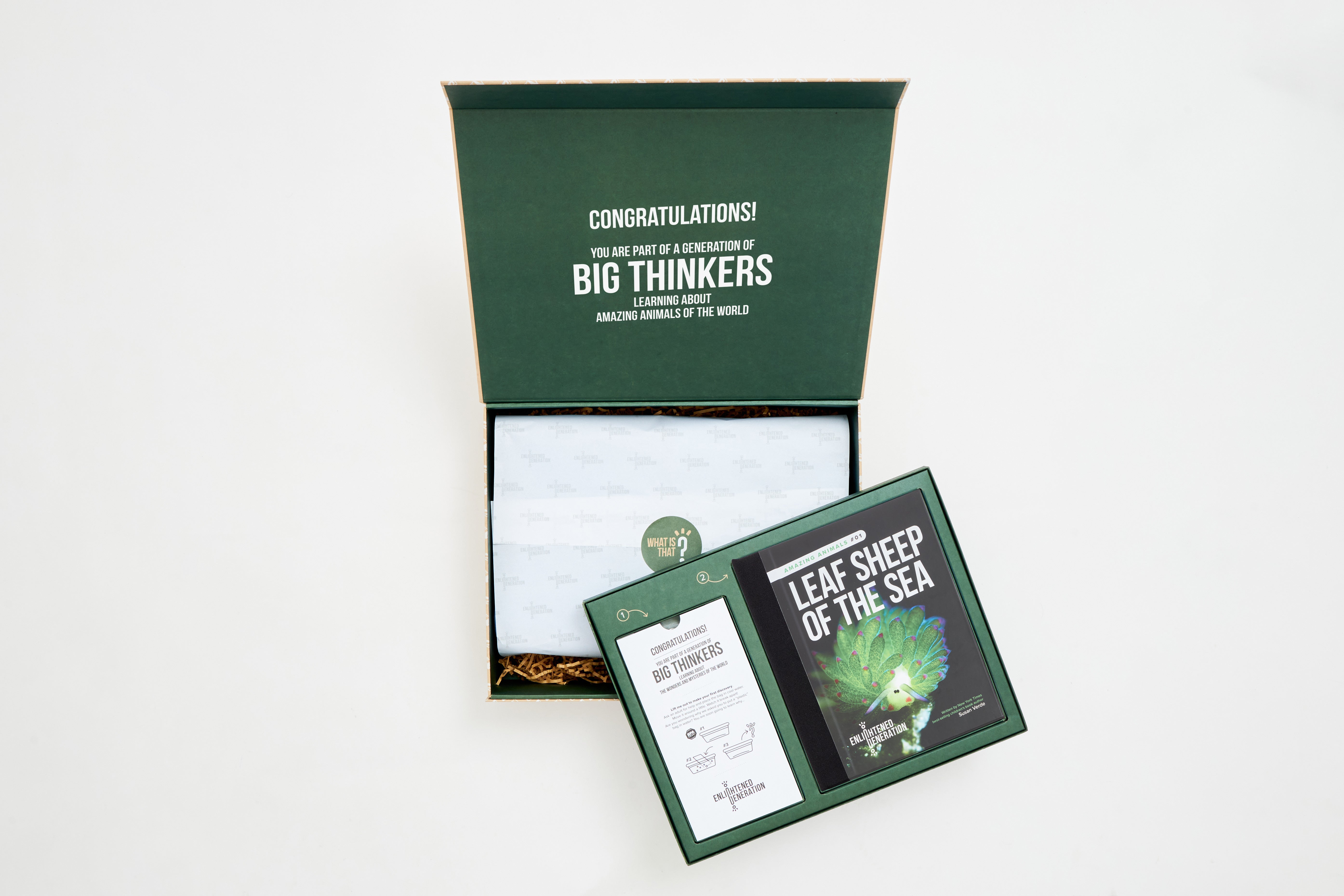 Leaf Sheep of the Sea Book