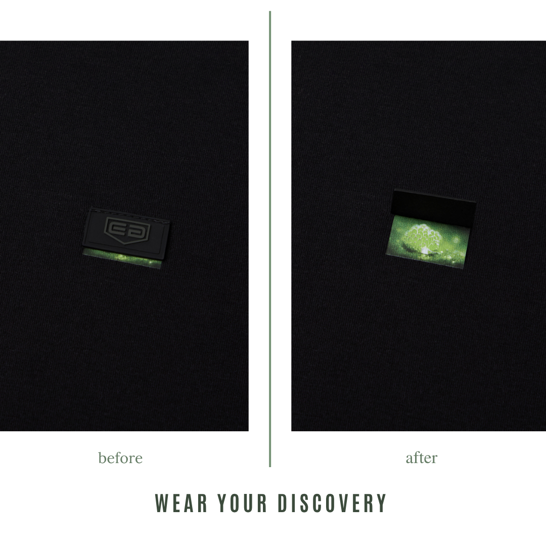 Leaf Sheep Peek-and-Discover Tee