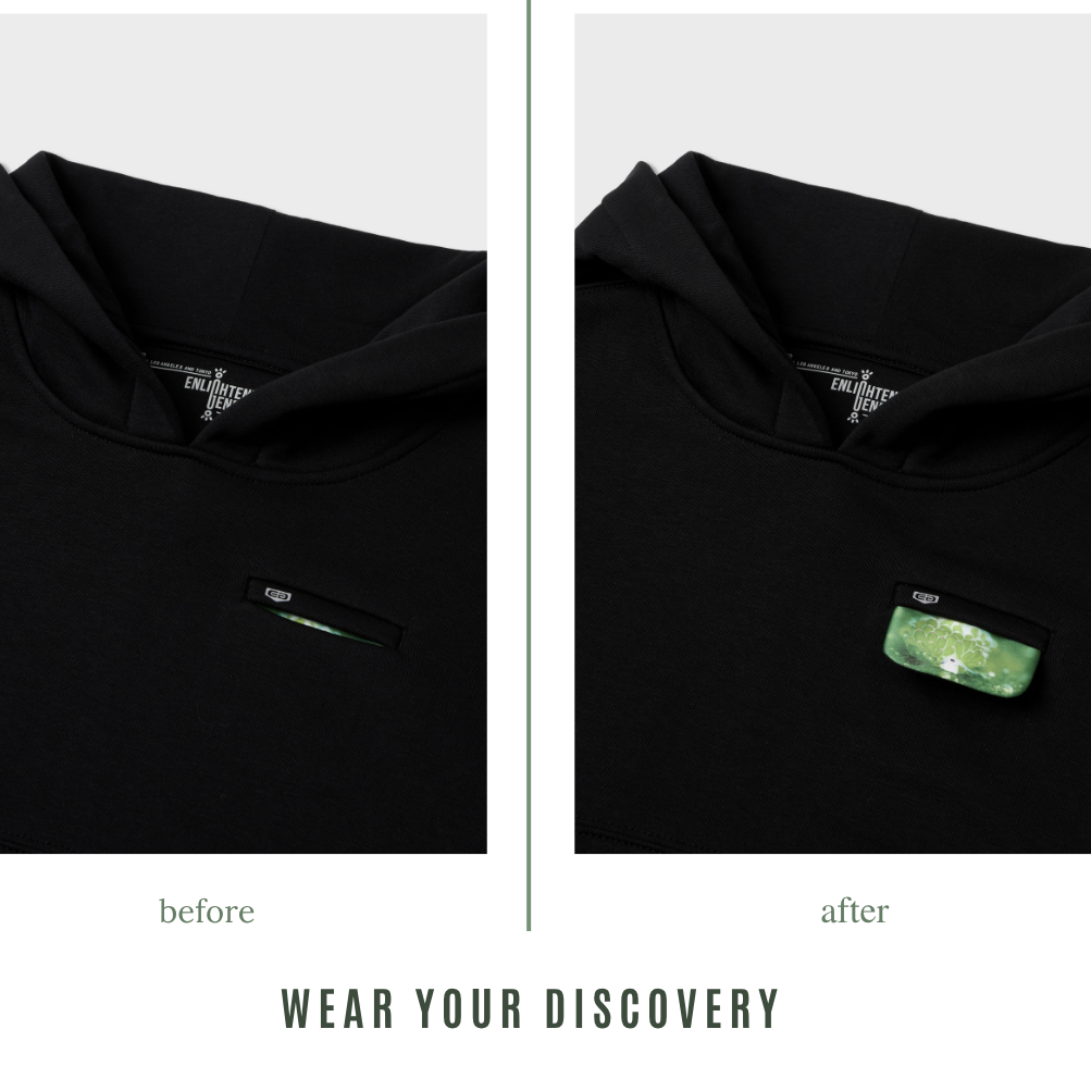 Leaf Sheep Discovery Pocket Hoodie