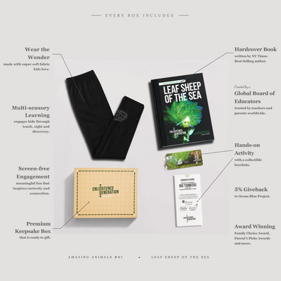 Leaf Sheep Curious Creature Gift Box with Kids Leggings, Book, and Activities