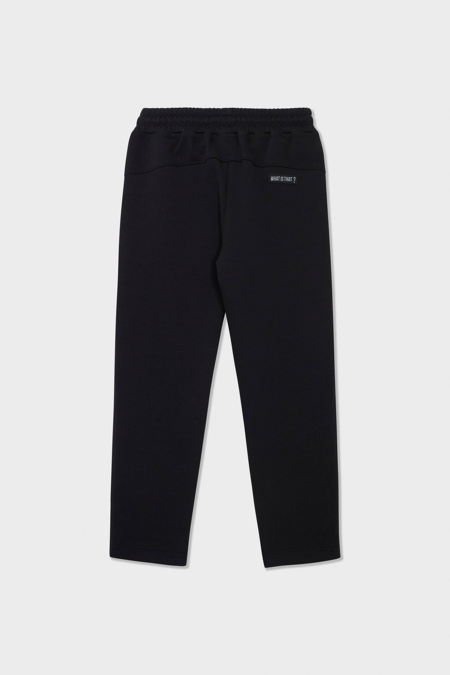 Prismatic Tech Joggers
