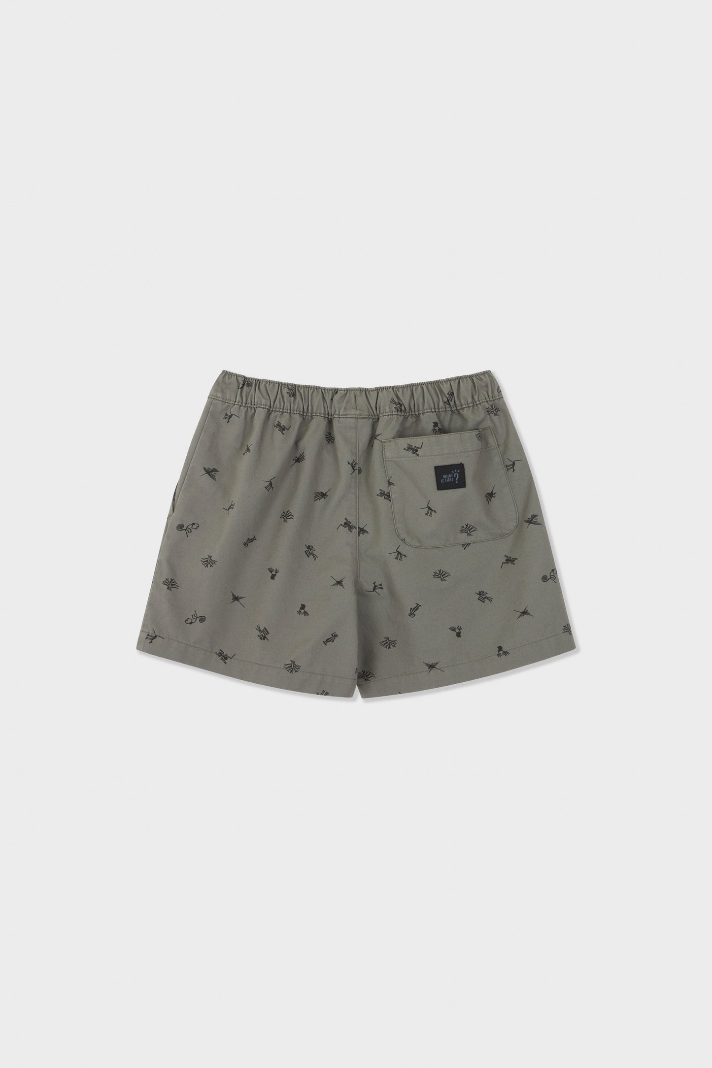Nasca Shorts