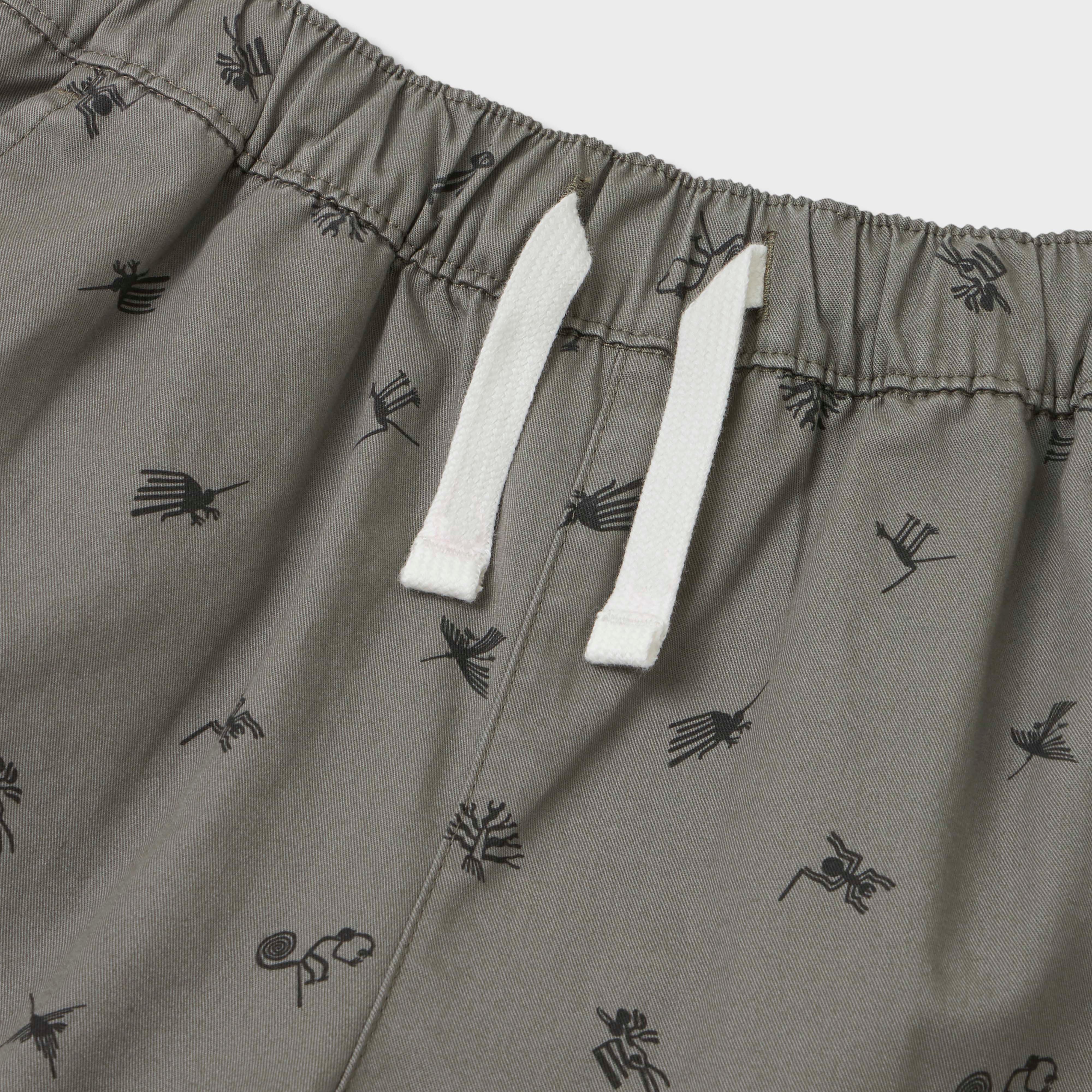 Nasca Printed Woven Shorts