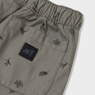 Nasca Printed Woven Shorts