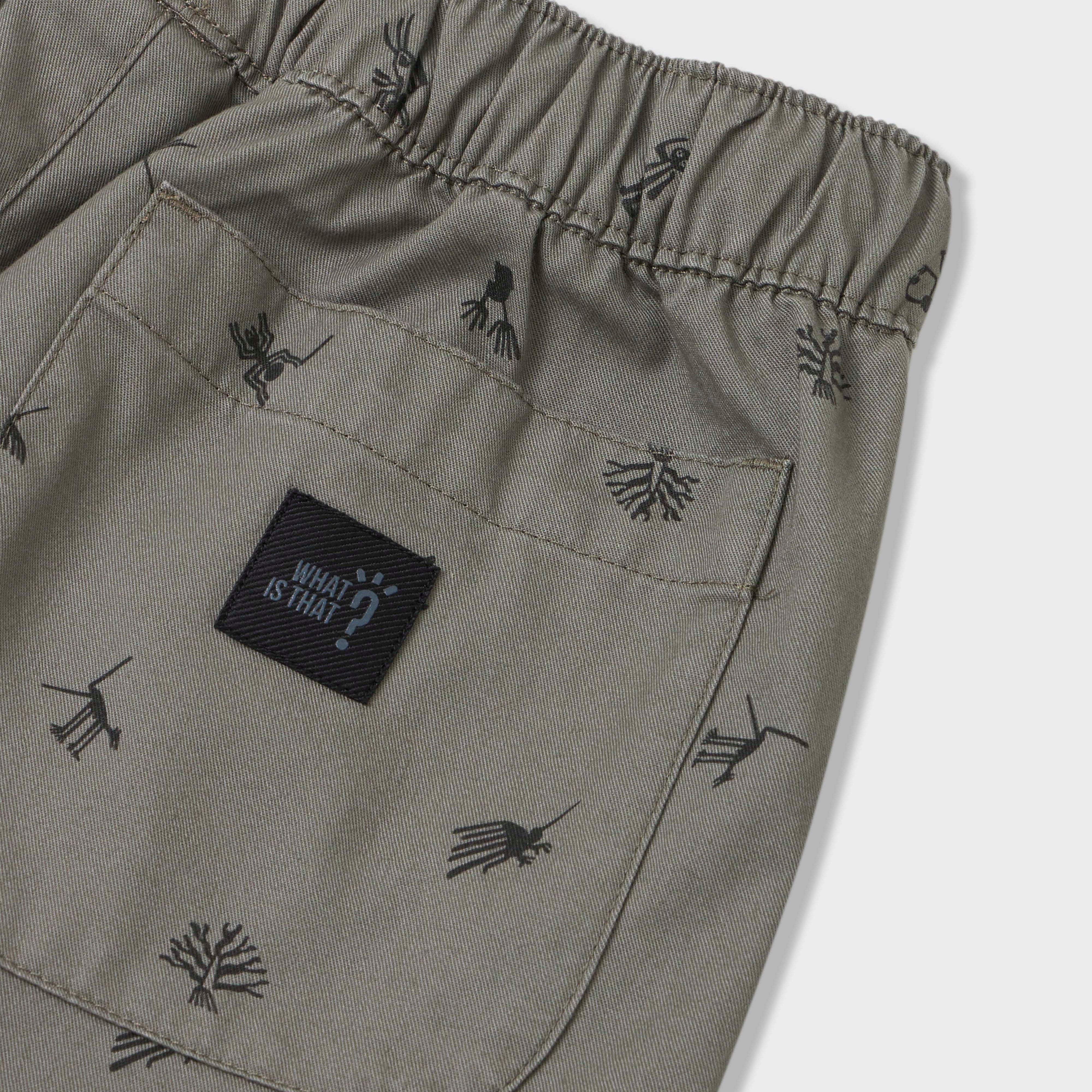 Nasca Printed Woven Shorts
