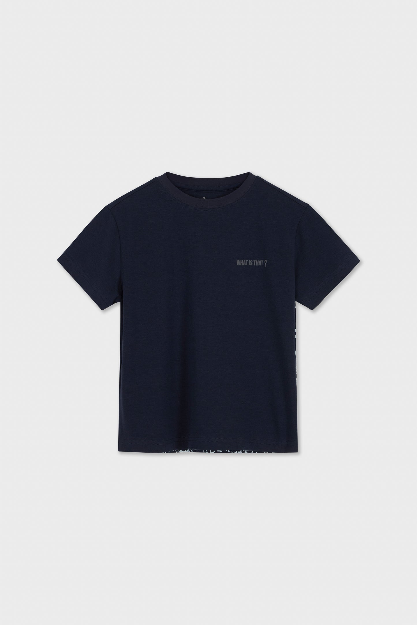 What Is That: Rosetta Stone T-Shirt