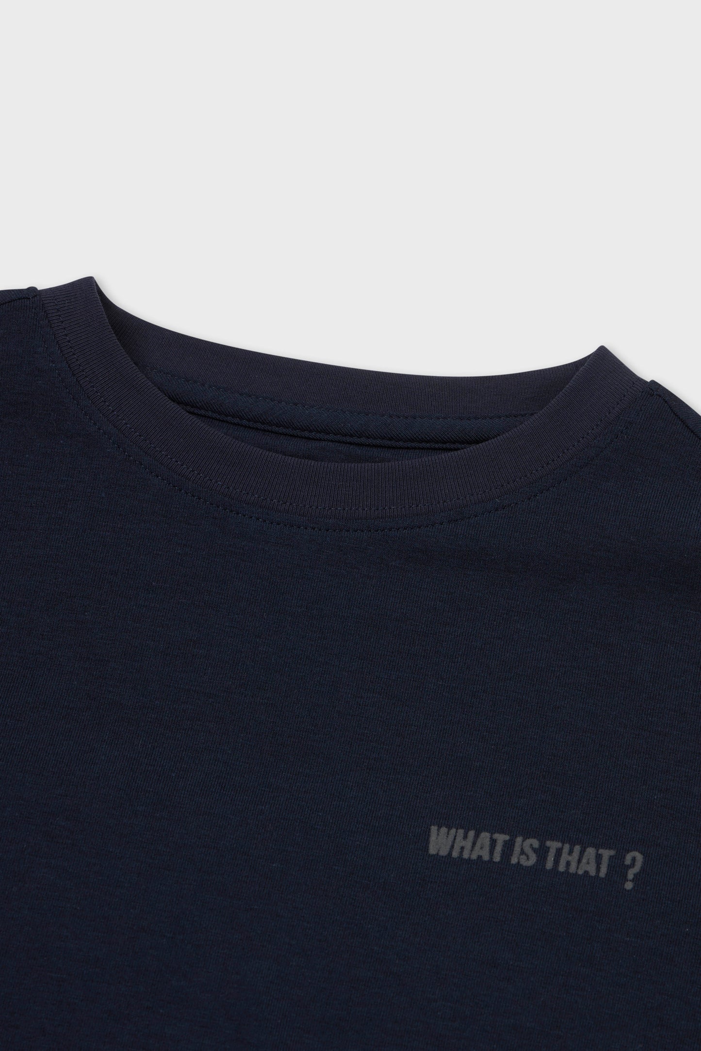 What Is That: Rosetta Stone T-Shirt