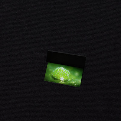 Leaf Sheep Peek-and-Discover Tee