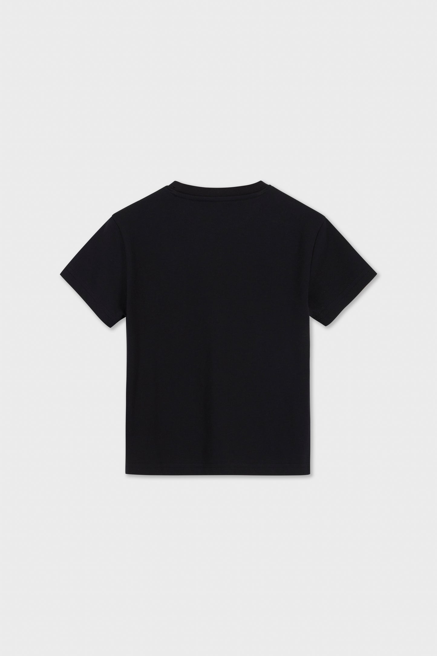 Nasca Hummingbird T-Shirt