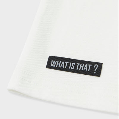 Prismatic Discovery Pocket Tee