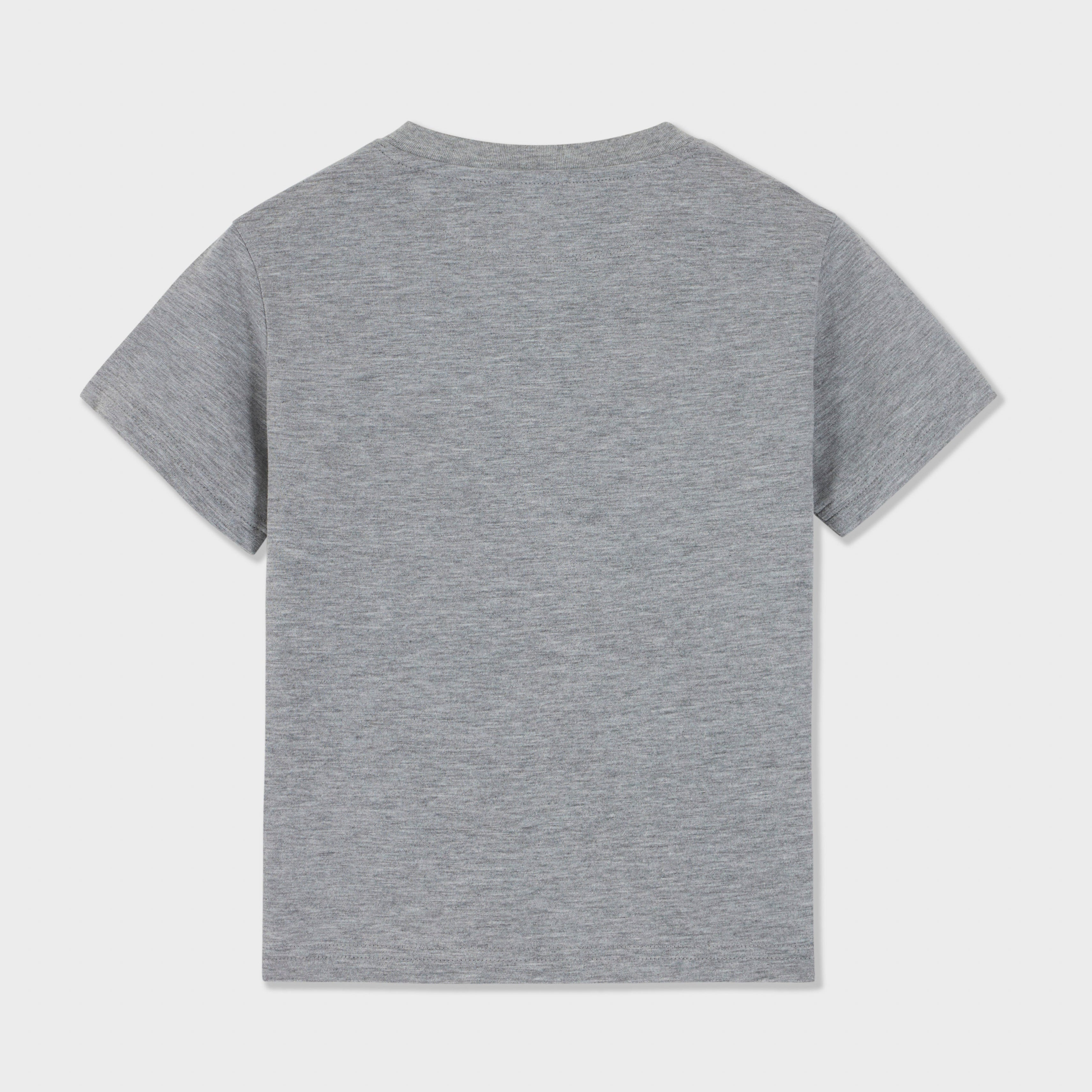 Nasca Embroidered Condor Henley