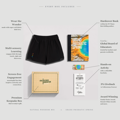 Prismatic Shorts with Mesh Inset