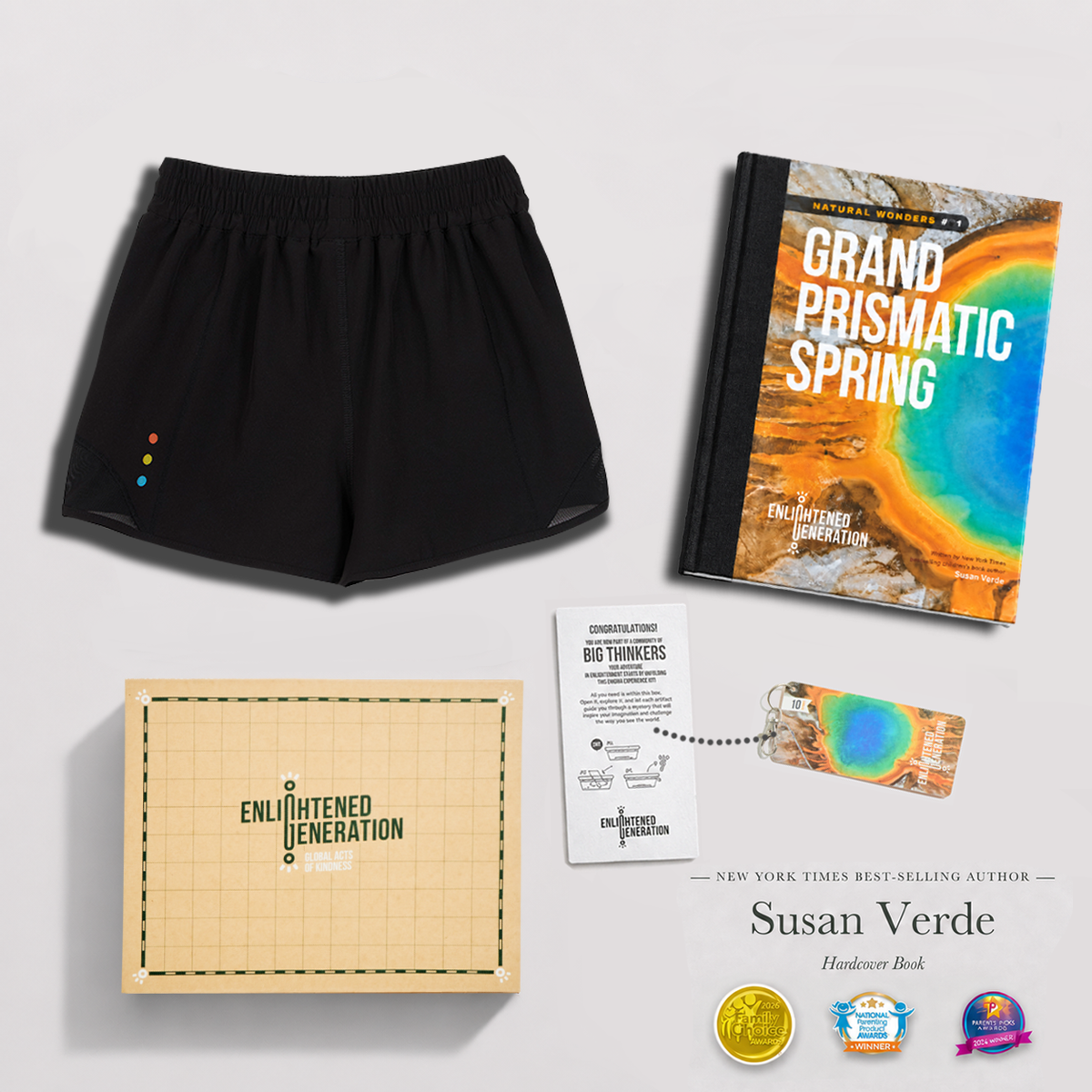 Prismatic Shorts with Mesh Inset