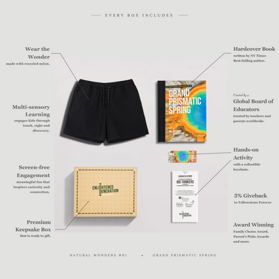 Prismatic Shorts
