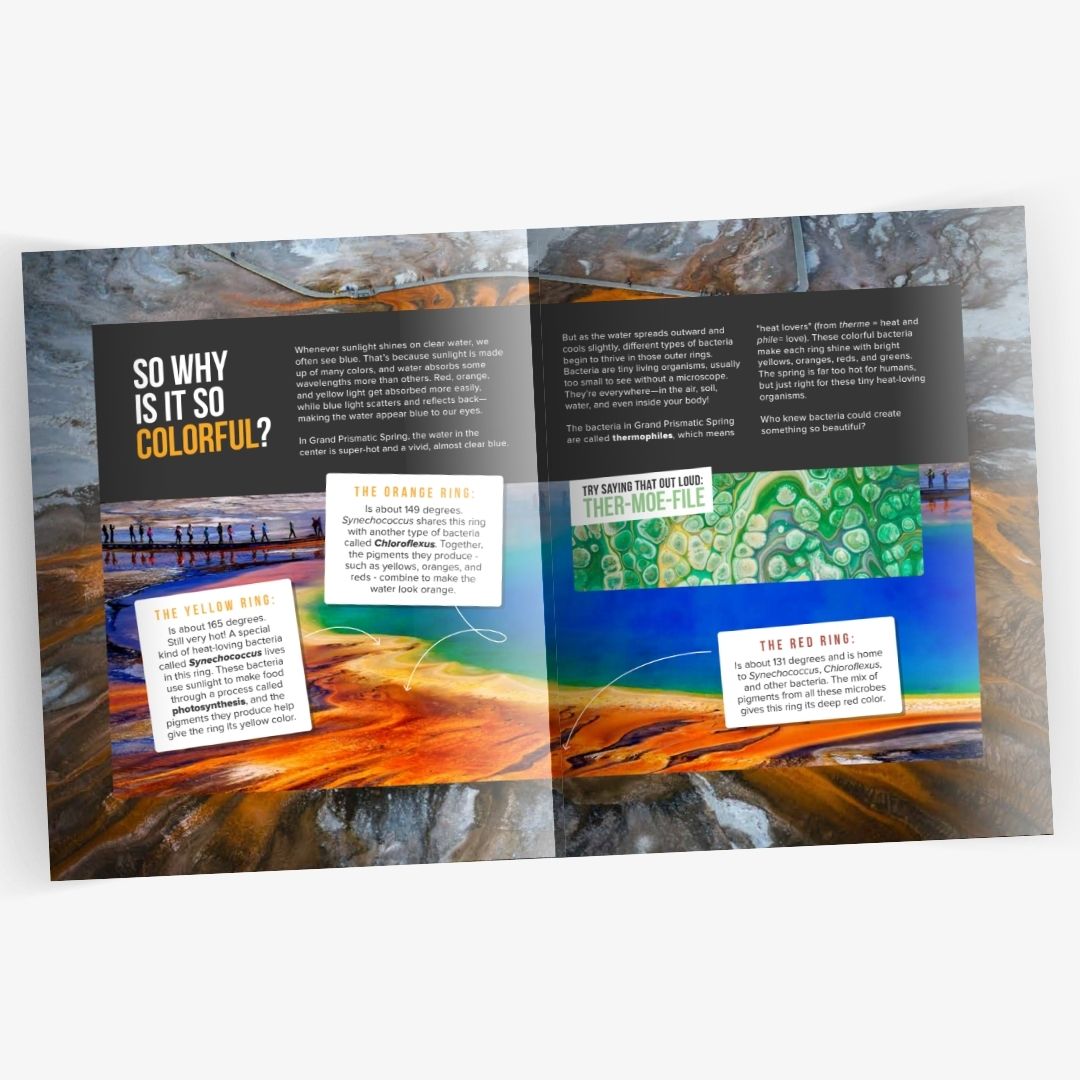 Grand Prismatic Spring Book