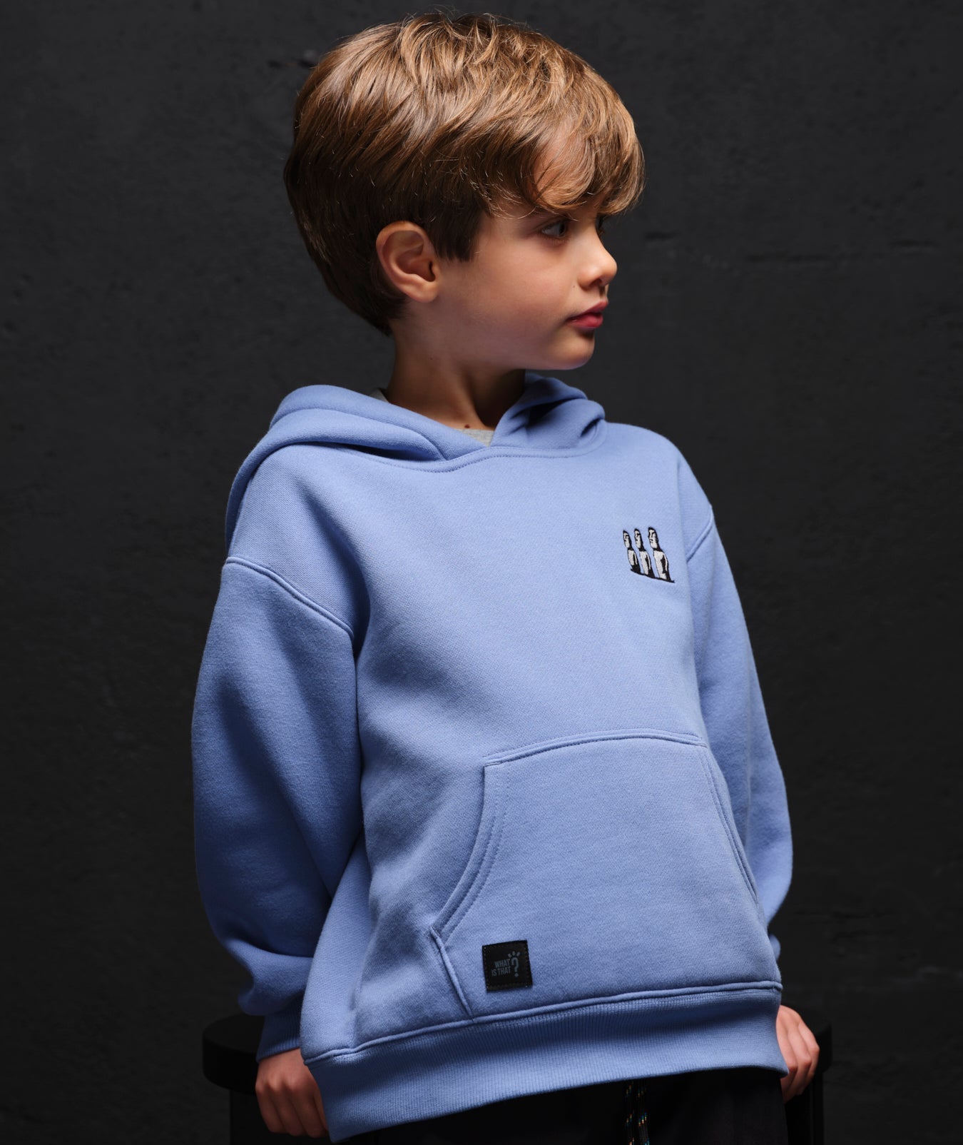 Moai Embroidered Hoodie