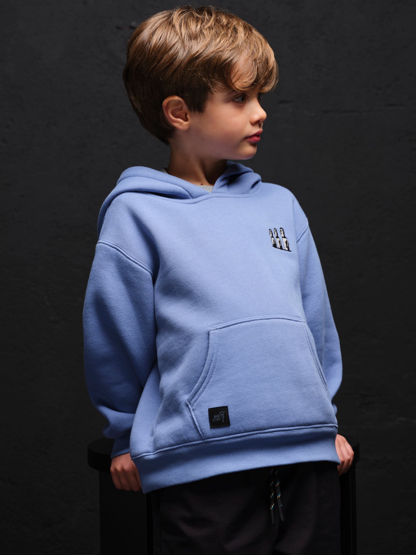 Moai Hoodie