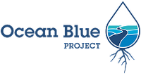 Ocean blue logo