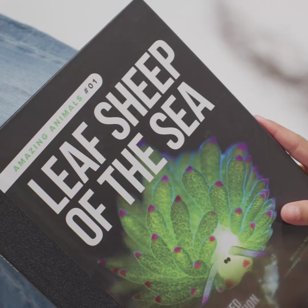 Leaf Sheep of the Sea Box with Book & Discovery Pocket Tee