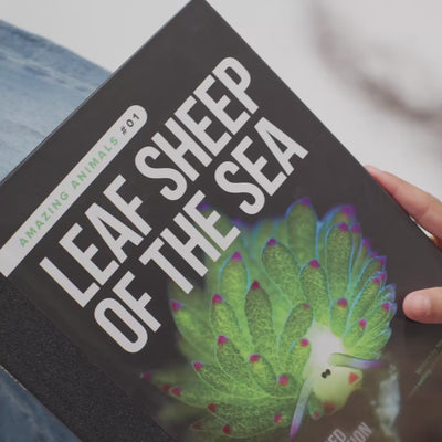 Leaf Sheep of the Sea Box with Book & Discovery Pocket Tee