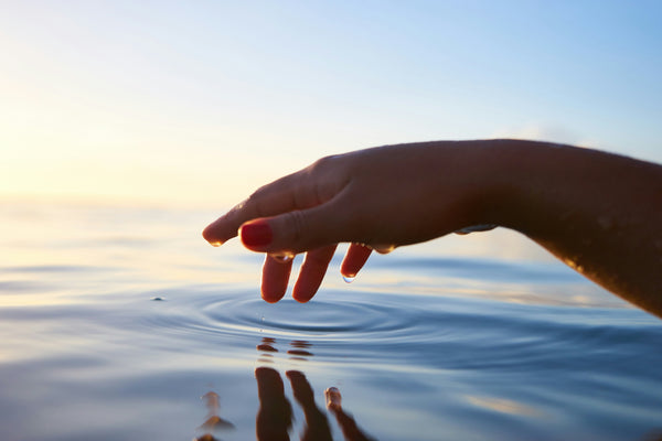 Survol Global Acts of Kindness